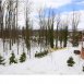 Winter view out the front